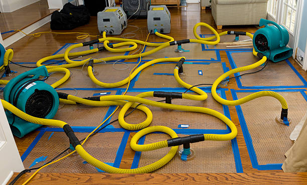 Professional Basement Flood Cleanup technician working in Granger, IN